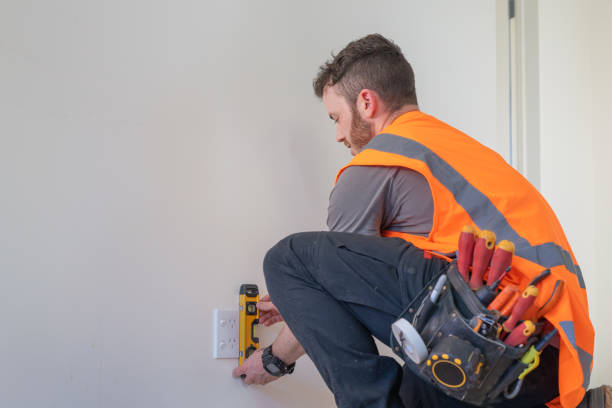 Best Electric Panel Repair  in Webster City, IA