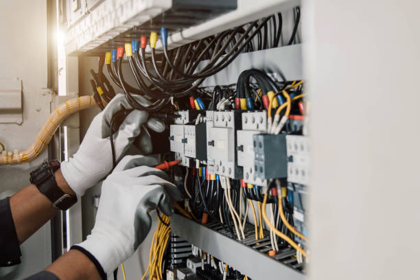 Best Electric Panel Repair  in Webster City, IA